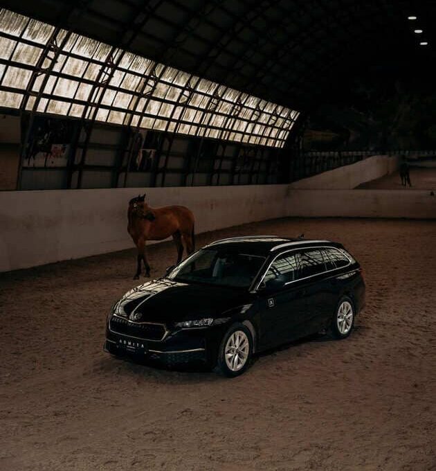 Ilgalaikė automobilių nuoma ADMITA – ŠKODA universalas uždaroje arenoje