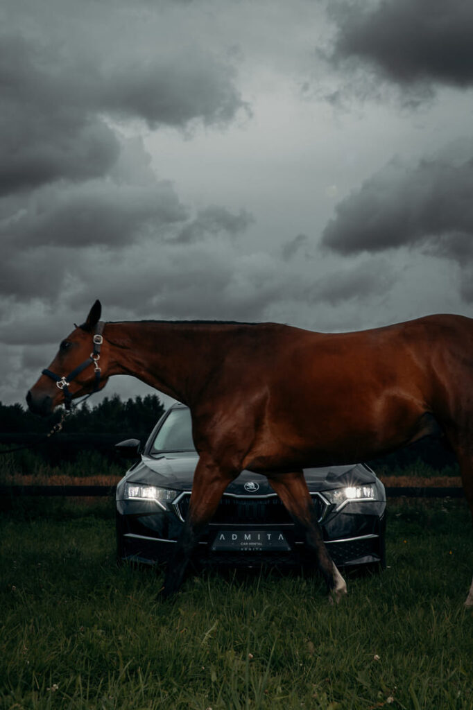 Automobilio nuoma savaitgaliui ADMITA – automobilis gamtoje