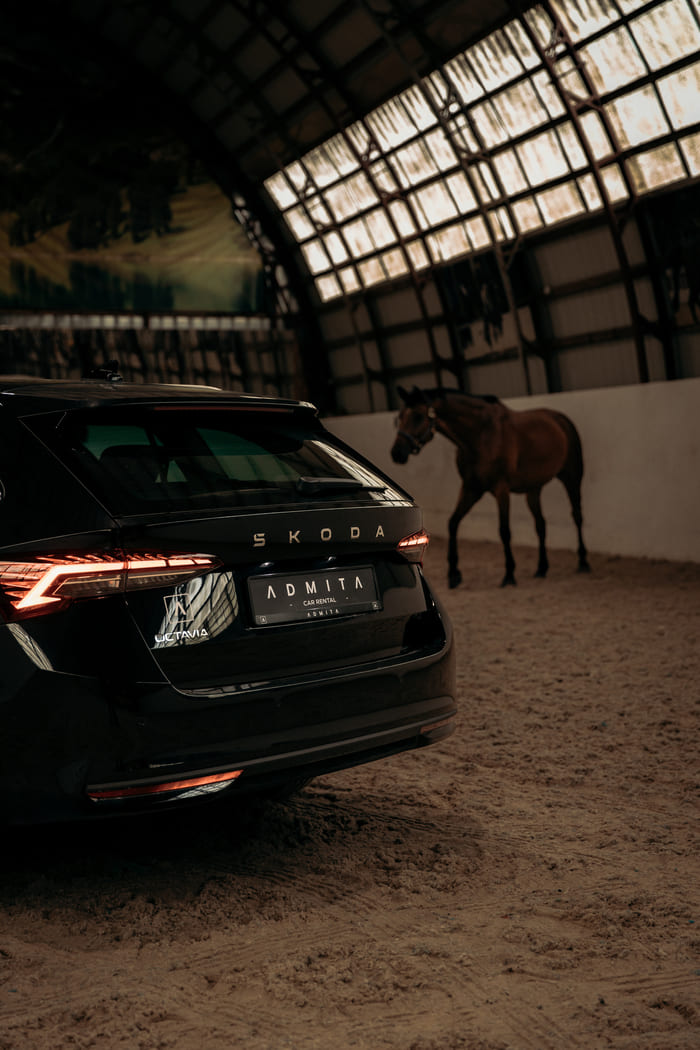 Škoda Octavia vehicle in ADMITA photoshoot – long-term car rental services in Lithuania